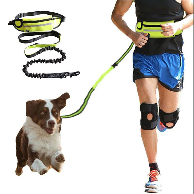 Hands Free Dog Leash Pet Walking And Training Belt With Shock Absorbing Bungee Leash For Up To 180lbs Large Dogs Phone Pocket And Water Bottle Holder - 𝓢𝓱𝓸𝓹𝓵𝓮𝓬𝔂