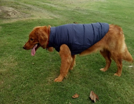 Pet clothing dog clothing warm waterproof outdoor pet supplies - 𝓢𝓱𝓸𝓹𝓵𝓮𝓬𝔂