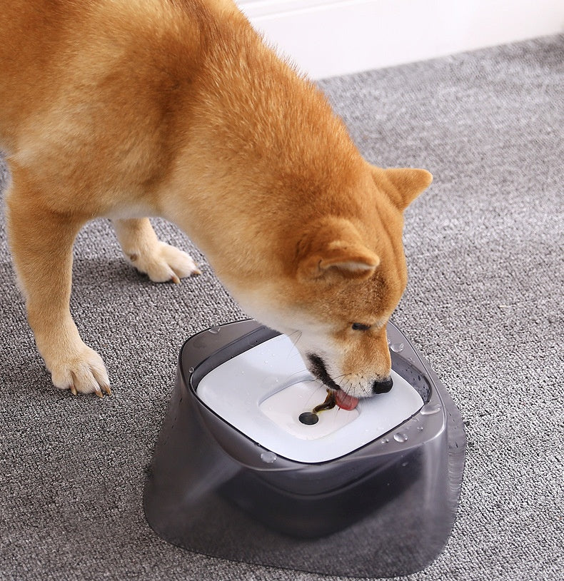 Pet Dog Bowl Floating Not Wetting Mouth Cat Bowl No Spill Drinking Water Feeder - 𝓢𝓱𝓸𝓹𝓵𝓮𝓬𝔂