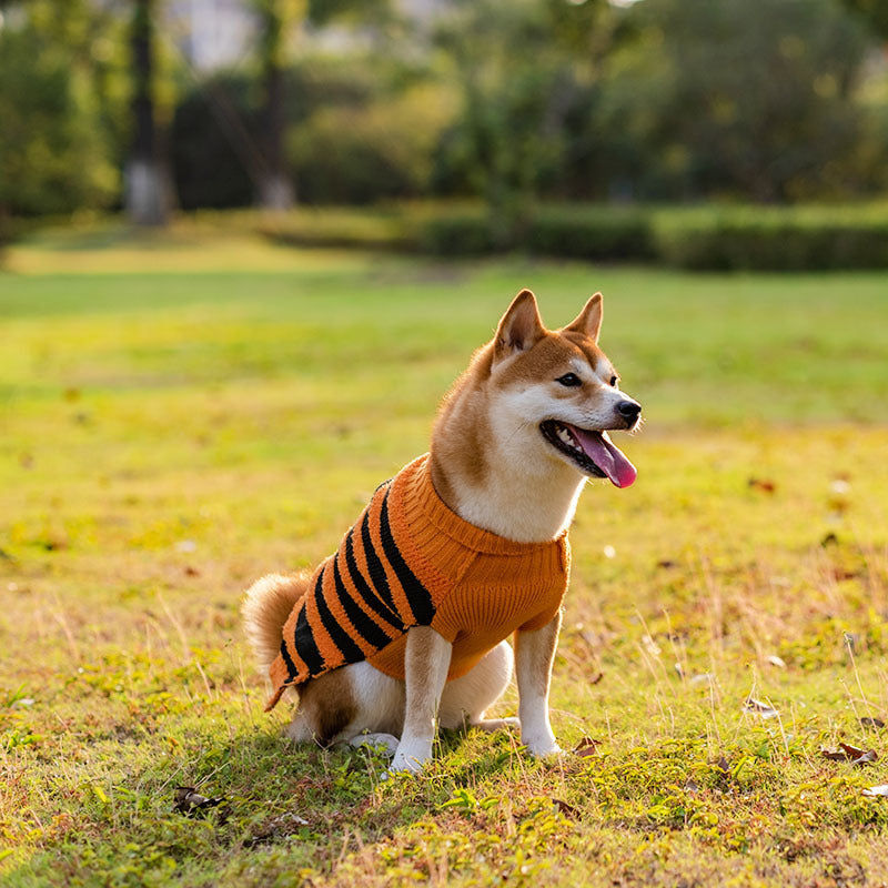 Halloween Dog Sweaters Pet Costume Teddy Warm Leisure Sweater Cosplay Clothes For Dogs Pets Outfits - 𝓢𝓱𝓸𝓹𝓵𝓮𝓬𝔂
