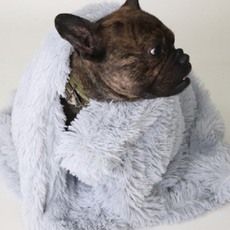 Pet Dog Cat Blankets - 𝓢𝓱𝓸𝓹𝓵𝓮𝓬𝔂
