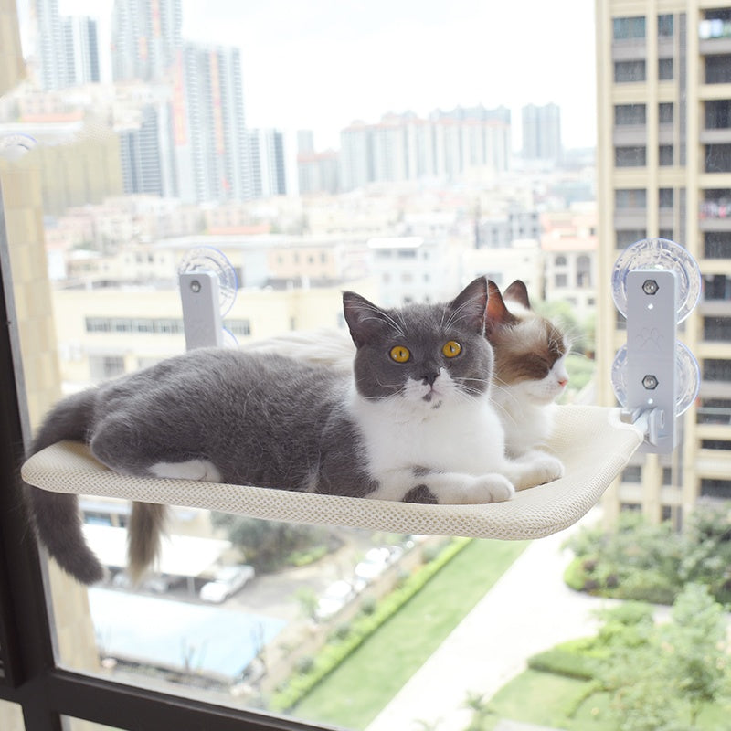 Cat Suction Cup Window Glass Hammock Pet Cat Pets Products - 𝓢𝓱𝓸𝓹𝓵𝓮𝓬𝔂