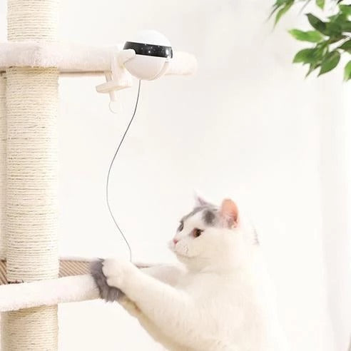 Pet Cat Toy Electronic Motion Cat Toy Interactive - 𝓢𝓱𝓸𝓹𝓵𝓮𝓬𝔂