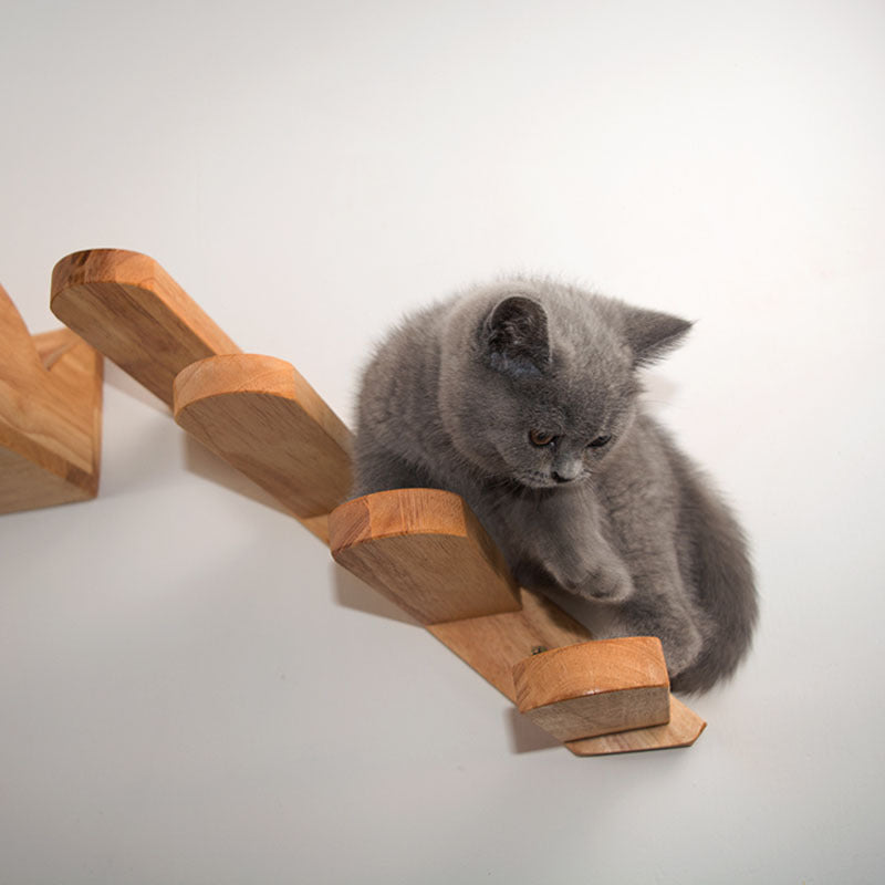 Cats Climbing Ladders On Solid Wood Walls, Rubber Wood Springboards And Stair Toys - 𝓢𝓱𝓸𝓹𝓵𝓮𝓬𝔂