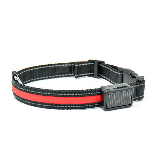 Fluorescent dog collar - 𝓢𝓱𝓸𝓹𝓵𝓮𝓬𝔂