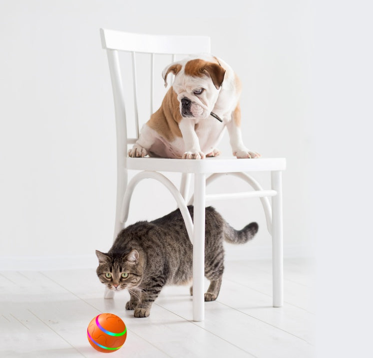 Pet New Cat Wicked Ball Toy Intelligent Ball USB Cat Toys Self Rotating Ball Automatic Rotation Ball - 𝓢𝓱𝓸𝓹𝓵𝓮𝓬𝔂