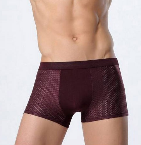 Ice silk men's underwear mesh boxer - 𝓢𝓱𝓸𝓹𝓵𝓮𝓬𝔂