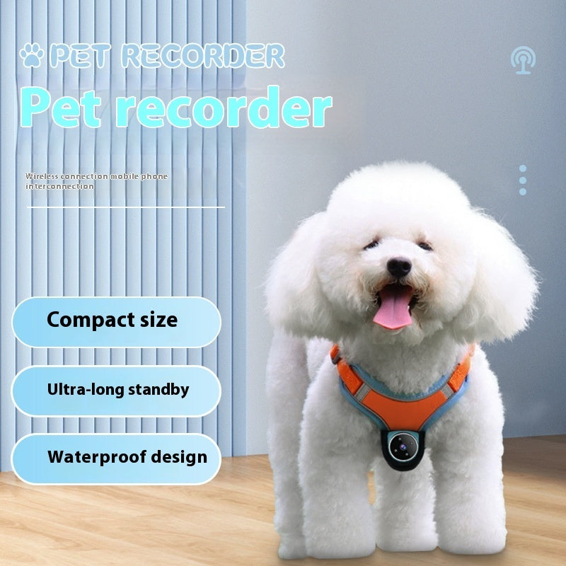 Pets Recorder Pet Tracker Collar Dogs And Cats Viewing Angle Motion Recording Camera Action Camera With Video Records Cat Collars Camera Sport Pet Products - 𝓢𝓱𝓸𝓹𝓵𝓮𝓬𝔂