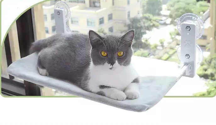 Cat Suction Cup Window Glass Hammock Pet Cat Pets Products - 𝓢𝓱𝓸𝓹𝓵𝓮𝓬𝔂