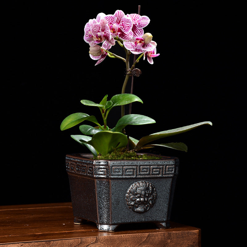 Retro Chinese Style Ceramic Flower Pot Square Creative - 𝓢𝓱𝓸𝓹𝓵𝓮𝓬𝔂