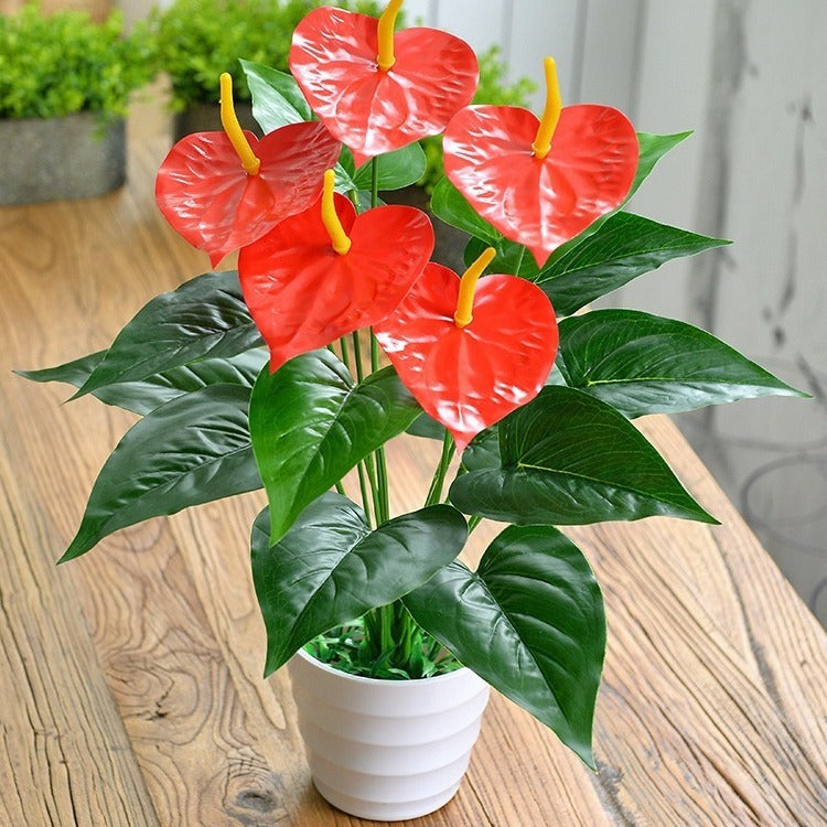 Artificial Green Plant 18 Head Anthurium Andraeanum Lind Flower Plastic Fake Flower Decorative Basin - 𝓢𝓱𝓸𝓹𝓵𝓮𝓬𝔂