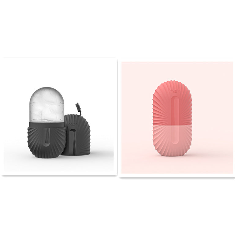 Beauty Supplies Facial Massage For Face Ice Tray