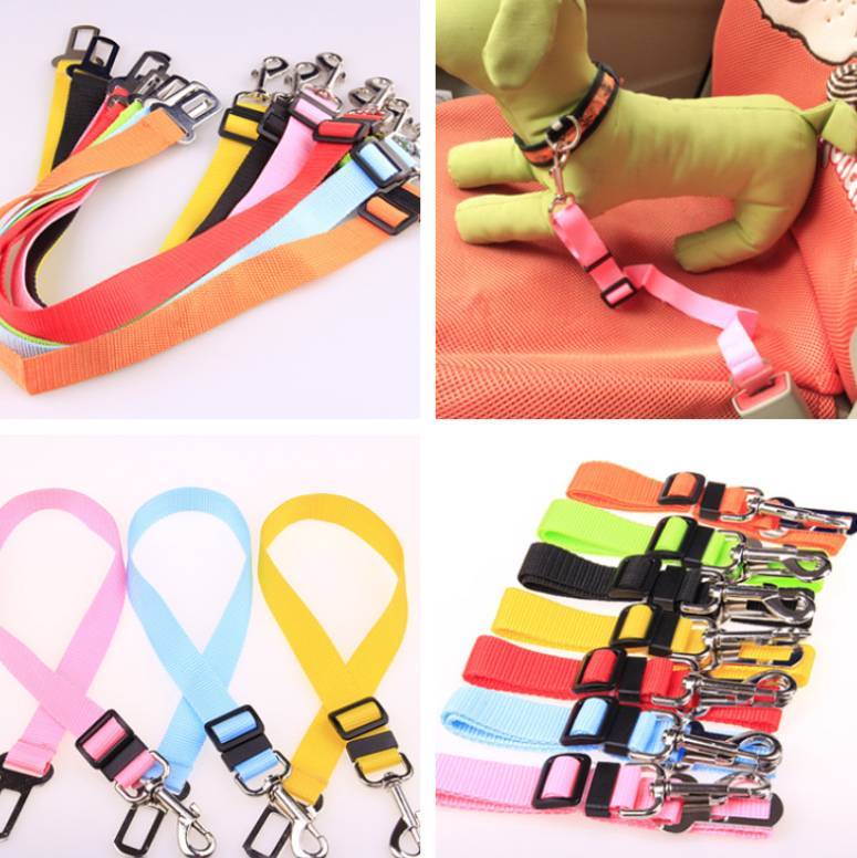 Fixed Strap Polyester Dog Strap Dog Leash Dog Leash - 𝓢𝓱𝓸𝓹𝓵𝓮𝓬𝔂