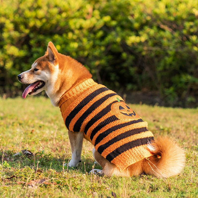 Halloween Dog Sweaters Pet Costume Teddy Warm Leisure Sweater Cosplay Clothes For Dogs Pets Outfits - 𝓢𝓱𝓸𝓹𝓵𝓮𝓬𝔂
