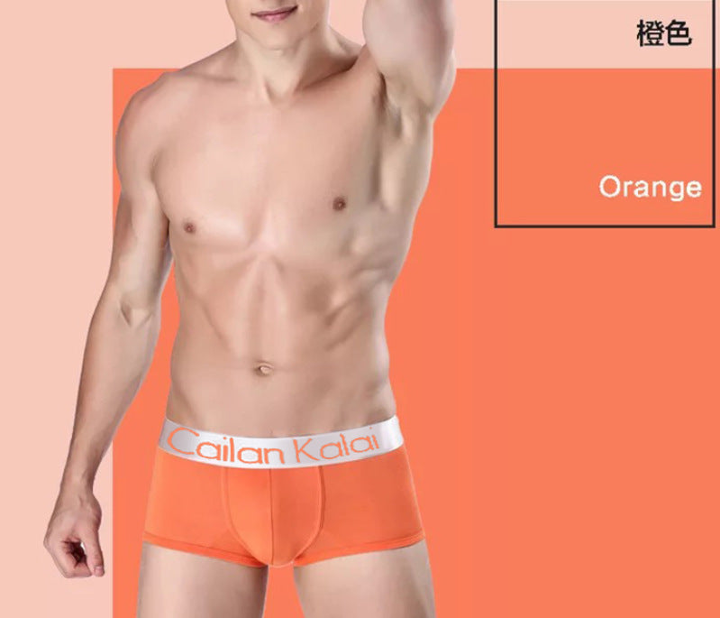 Men's Underwear Boxers Modal Breathable Boxer - 𝓢𝓱𝓸𝓹𝓵𝓮𝓬𝔂