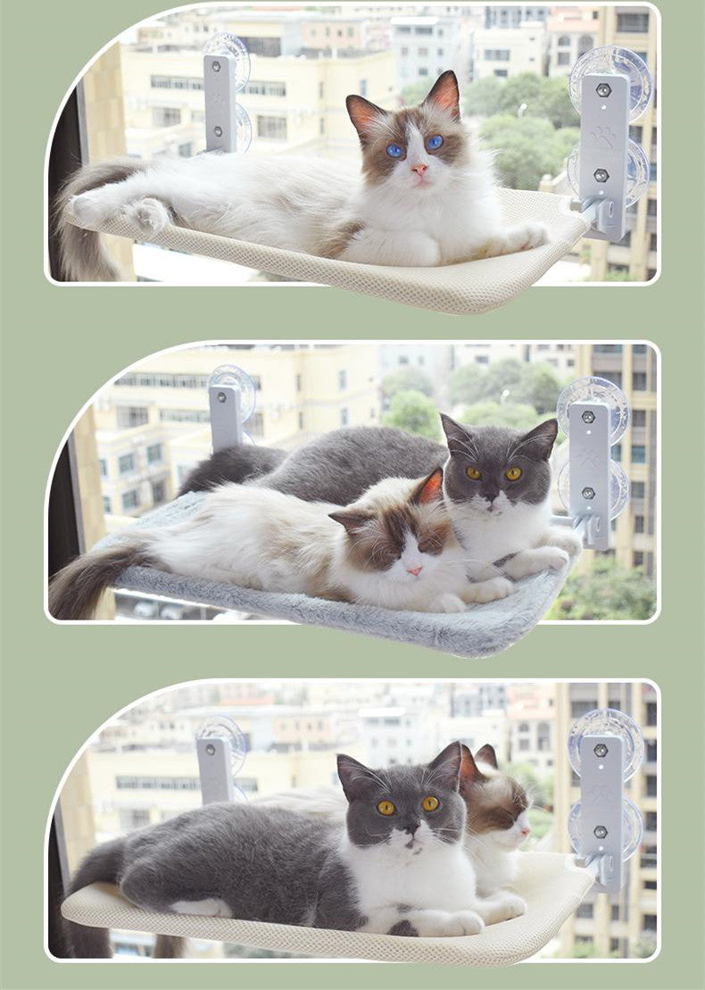 Cat Suction Cup Window Glass Hammock Pet Cat Pets Products - 𝓢𝓱𝓸𝓹𝓵𝓮𝓬𝔂