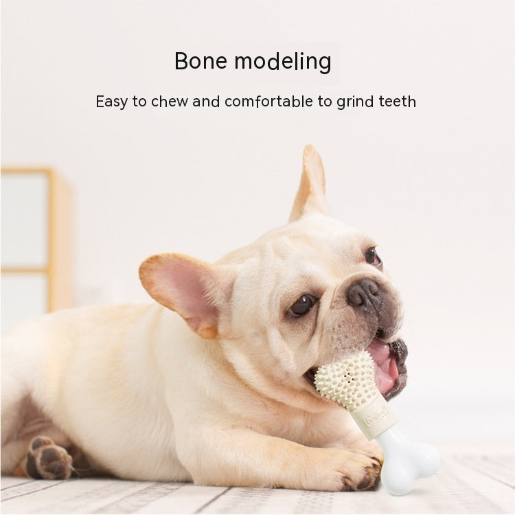 Bone Refillable Toothpaste Dog Toy - 𝓢𝓱𝓸𝓹𝓵𝓮𝓬𝔂