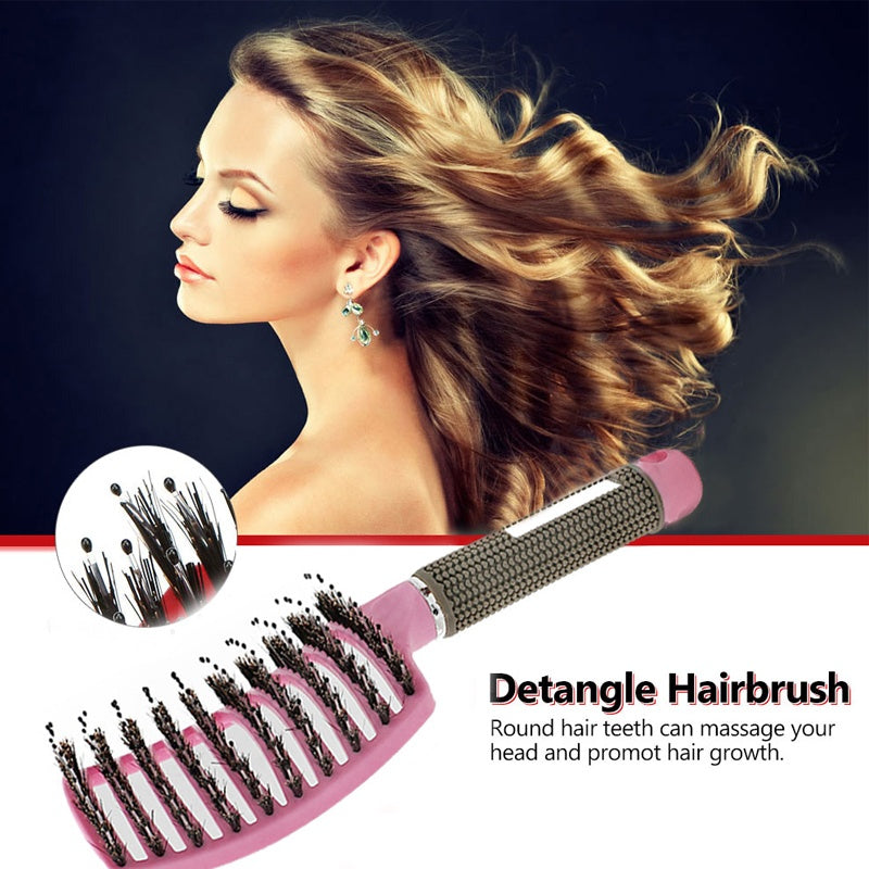 Hairbrush Anti Klit Brushy Haarborstel Women Detangler Hair Brush Bristle Nylon Scalp Massage  Teaser Hair Brush Comb - 𝓢𝓱𝓸𝓹𝓵𝓮𝓬𝔂