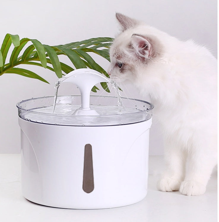 Pet Water Dispenser Intelligent Automatic Circulating Filter Water Dispenser - 𝓢𝓱𝓸𝓹𝓵𝓮𝓬𝔂