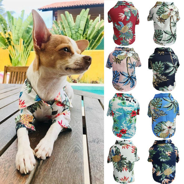 Dog Spring And Summer Thin Shirt Corgi Blue Cat Clothes - 𝓢𝓱𝓸𝓹𝓵𝓮𝓬𝔂