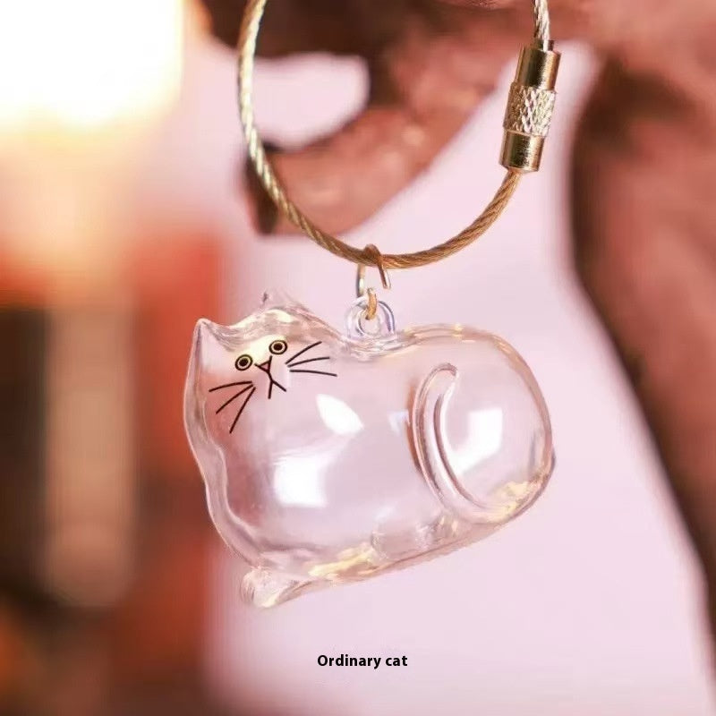 Transparent Cat Hair Storage Box Pendant Keychain Ornaments