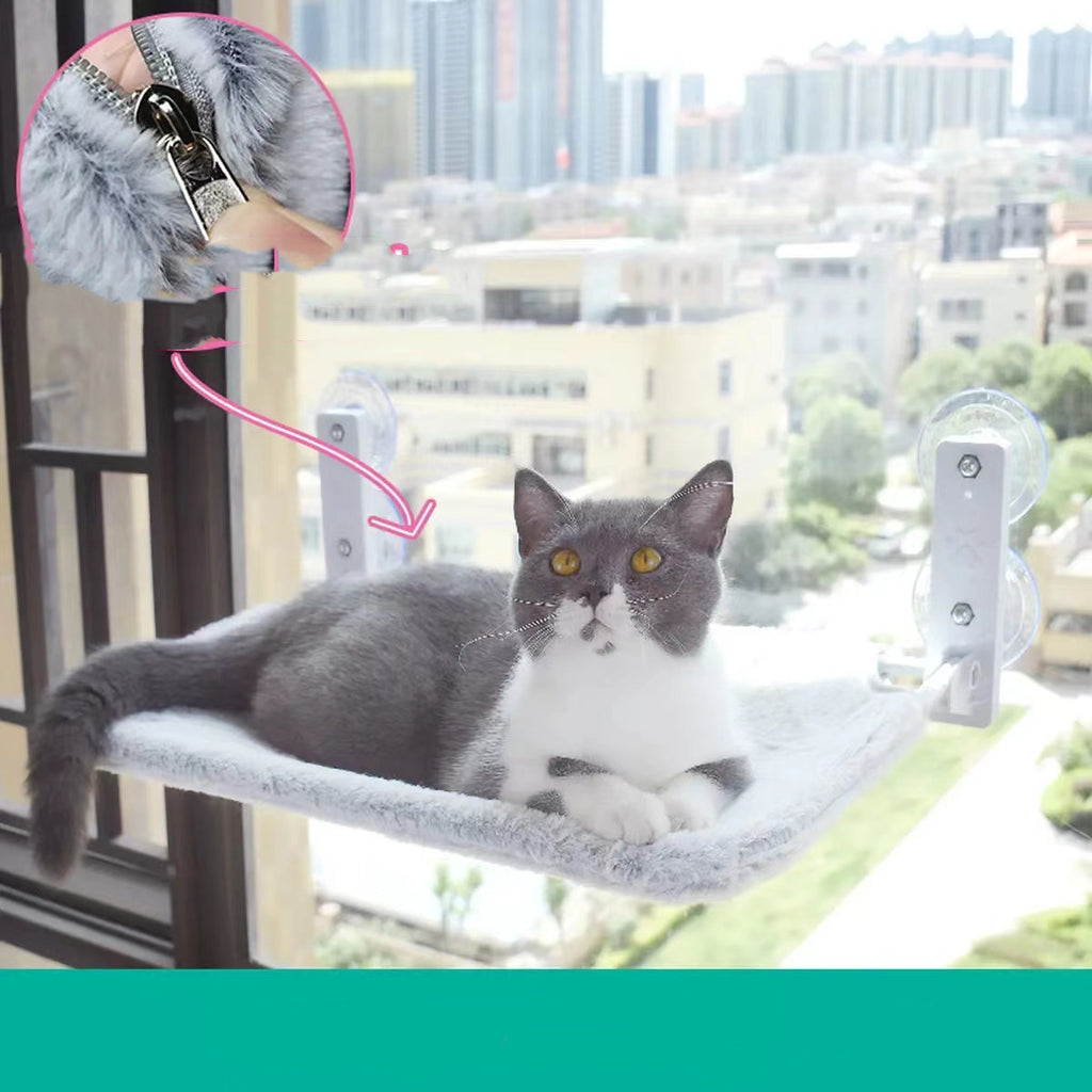 Cat Suction Cup Window Glass Hammock Pet Cat Pets Products - 𝓢𝓱𝓸𝓹𝓵𝓮𝓬𝔂