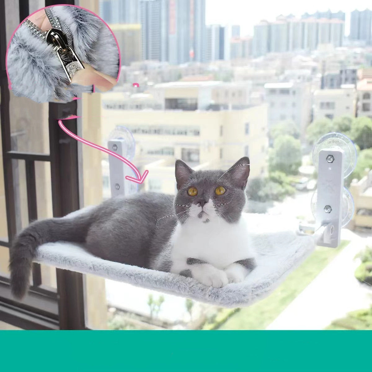 Cat Suction Cup Window Glass Hammock Pet Cat Pets Products - 𝓢𝓱𝓸𝓹𝓵𝓮𝓬𝔂