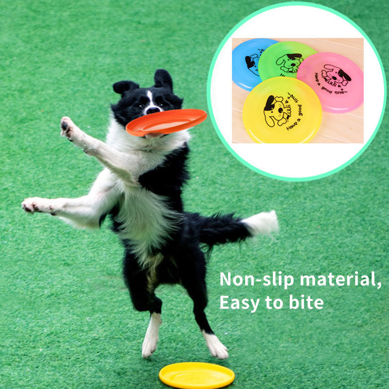 Pet Supplies Dog  Outdoor Interactive Toys - 𝓢𝓱𝓸𝓹𝓵𝓮𝓬𝔂