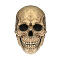 Halloween Movable Mouth Skull Mask Helmet Mouth Movable Skull Full Head Skull Mask - 𝓢𝓱𝓸𝓹𝓵𝓮𝓬𝔂