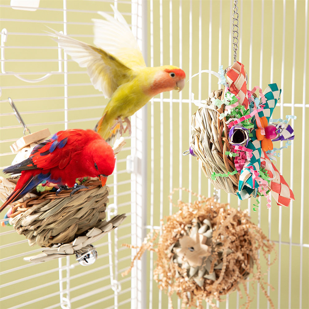 Parrot Bird Toy Supplies Gnawing Molar - 𝓢𝓱𝓸𝓹𝓵𝓮𝓬𝔂