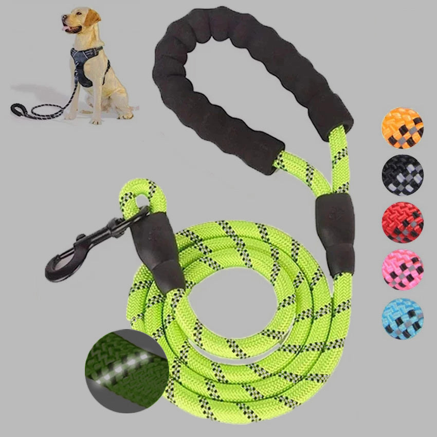 Small Medium Sized Pet Dog Luminous Leash Chain Puppies - 𝓢𝓱𝓸𝓹𝓵𝓮𝓬𝔂