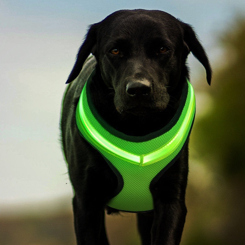 LED Luminous Dog Harness Led USB Charging Dog Chest Strap Vest Pet Safety Reflective Harness Pet Vest For Puppy Large Dog Pet Products - 𝓢𝓱𝓸𝓹𝓵𝓮𝓬𝔂