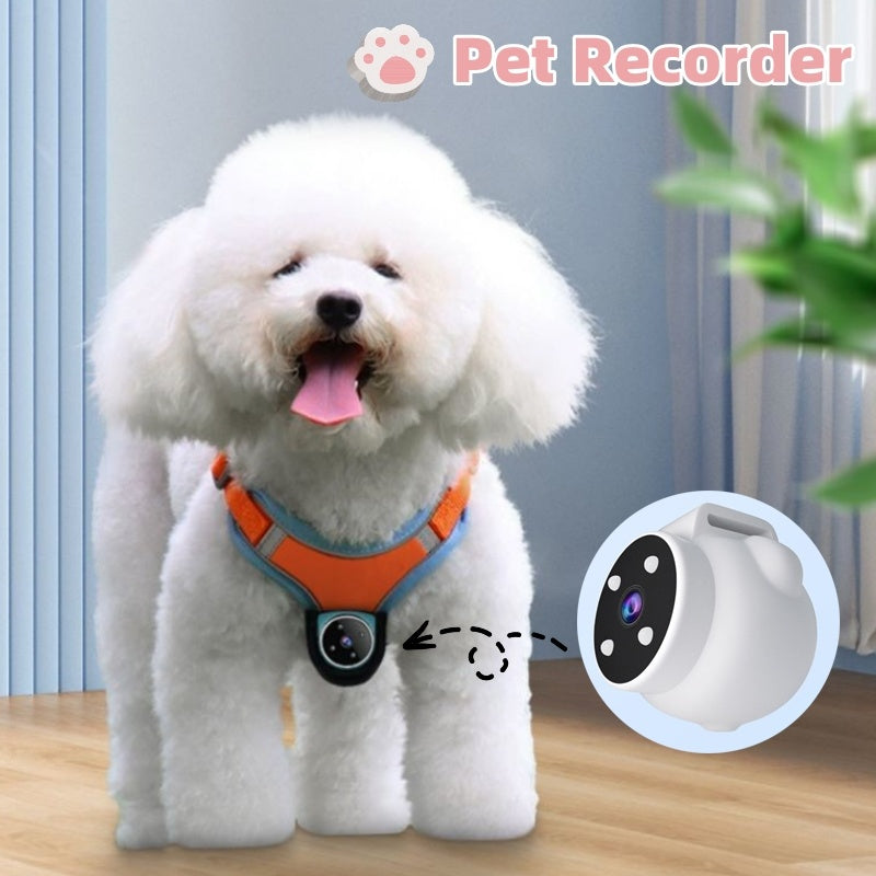 Pets Recorder Pet Tracker Collar Dogs And Cats Viewing Angle Motion Recording Camera Action Camera With Video Records Cat Collars Camera Sport Pet Products - 𝓢𝓱𝓸𝓹𝓵𝓮𝓬𝔂