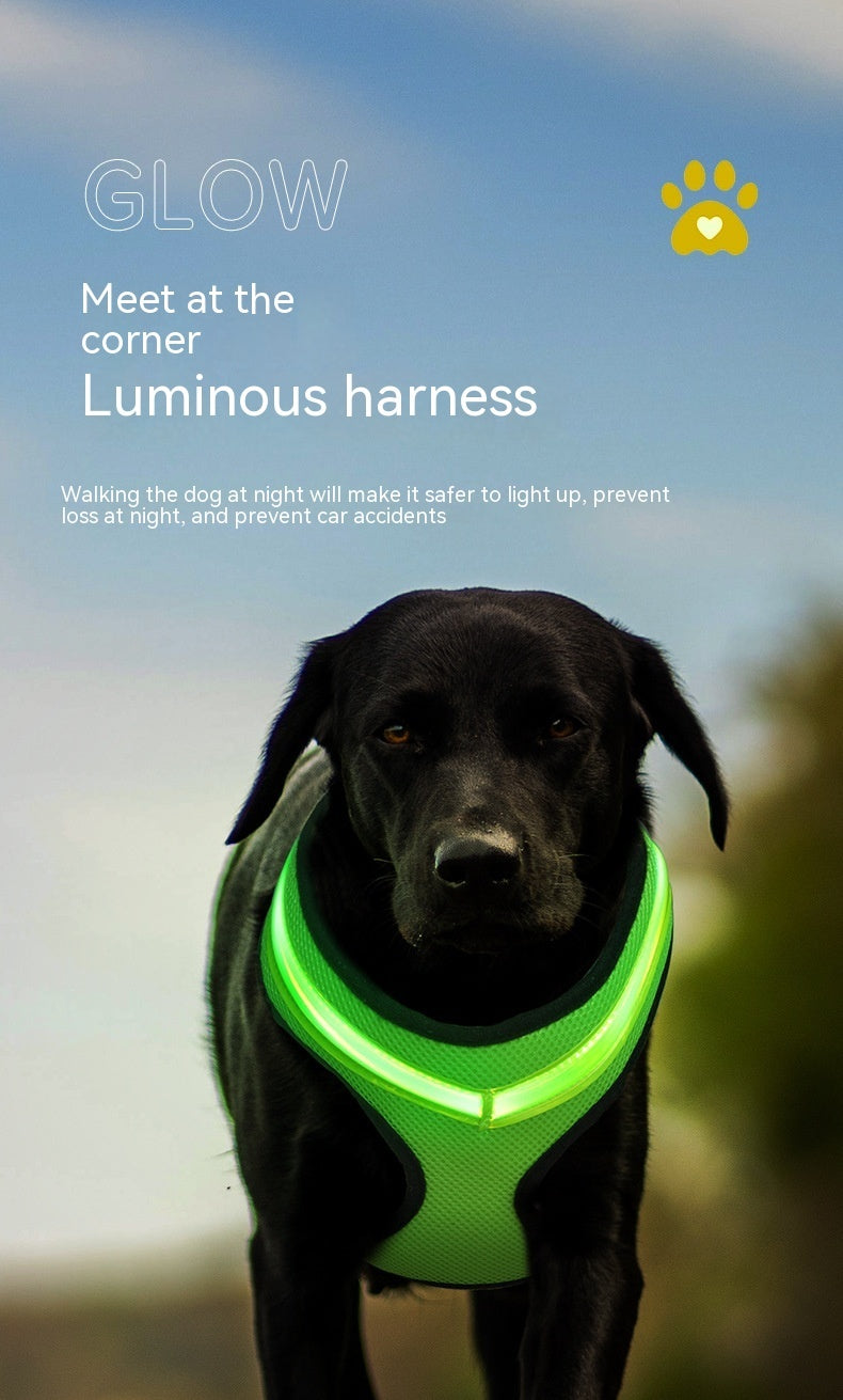 LED Luminous Dog Harness Led USB Charging Dog Chest Strap Vest Pet Safety Reflective Harness Pet Vest For Puppy Large Dog Pet Products - 𝓢𝓱𝓸𝓹𝓵𝓮𝓬𝔂