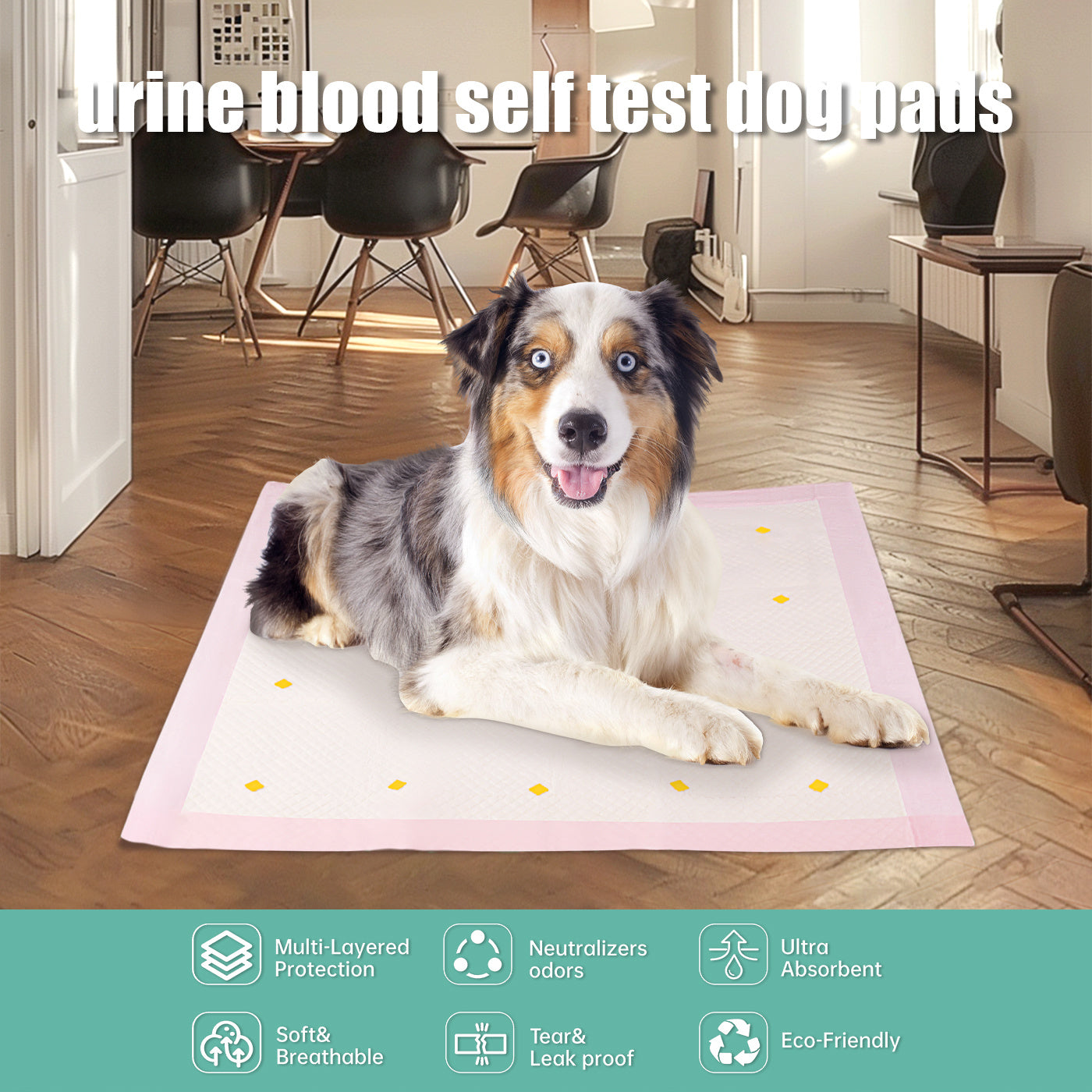 Dog Detection Urine Pad - 𝓢𝓱𝓸𝓹𝓵𝓮𝓬𝔂