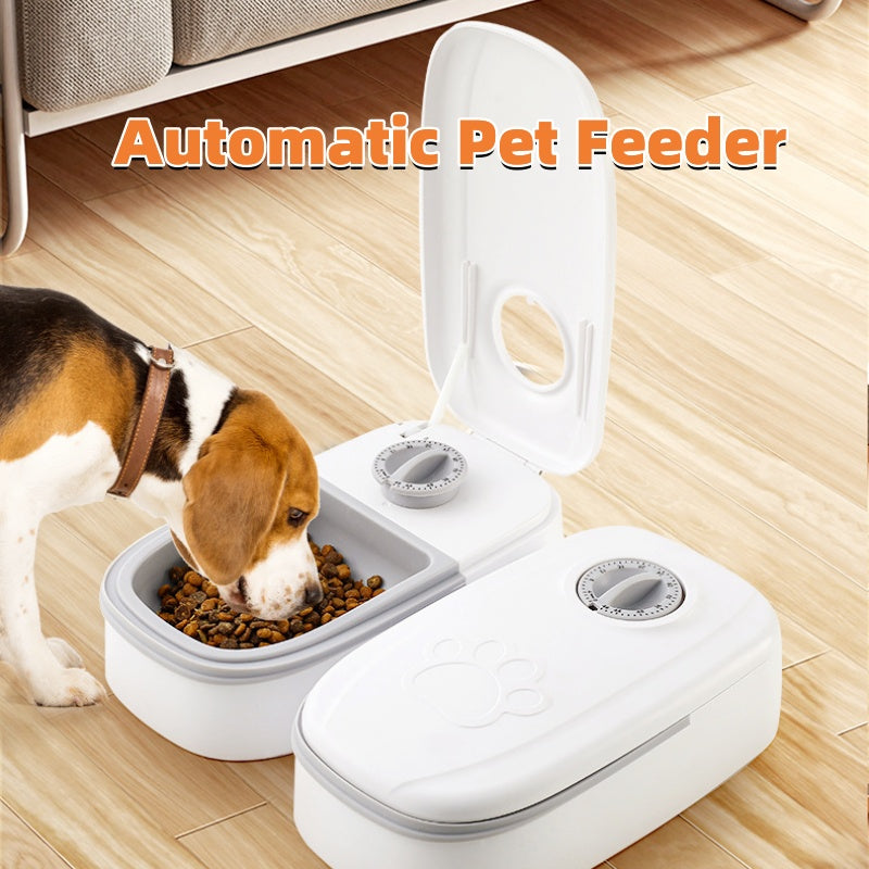 Automatic Pet Feeder Smart Food Dispenser For Cats Dogs Timer Stainless Steel Bowl Auto Dog Cat Pet Feeding Pets Supplies - 𝓢𝓱𝓸𝓹𝓵𝓮𝓬𝔂