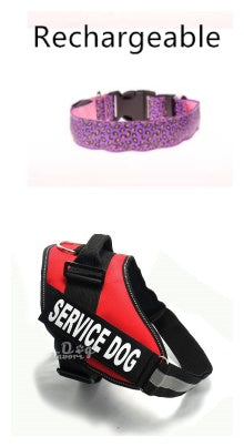 LED Dog Collar Safety Adjustable Nylon Leopard Pet Collar - 𝓢𝓱𝓸𝓹𝓵𝓮𝓬𝔂