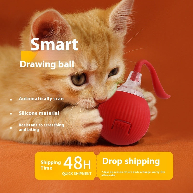 Interactive Cat Toy Ball Super Drive Cat Rolling Ball - 𝓢𝓱𝓸𝓹𝓵𝓮𝓬𝔂