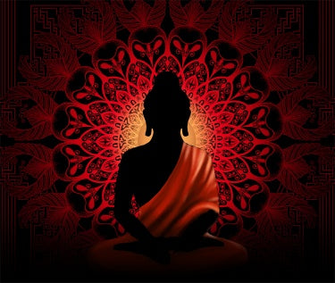 TAP185 - 𝓢𝓱𝓸𝓹𝓵𝓮𝓬𝔂