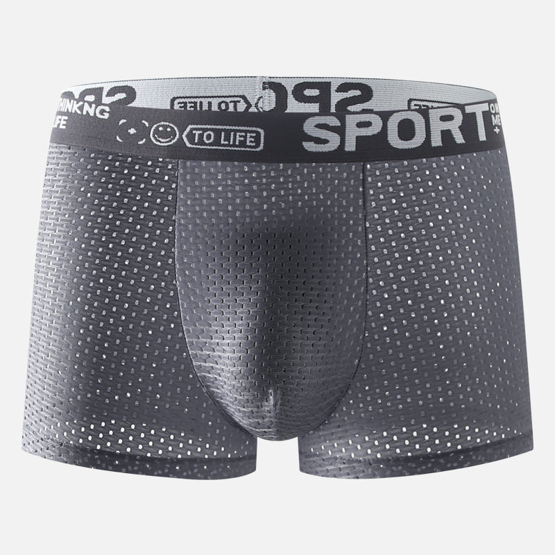 Men's Underwear Ice Silk Mesh Boxers - 𝓢𝓱𝓸𝓹𝓵𝓮𝓬𝔂