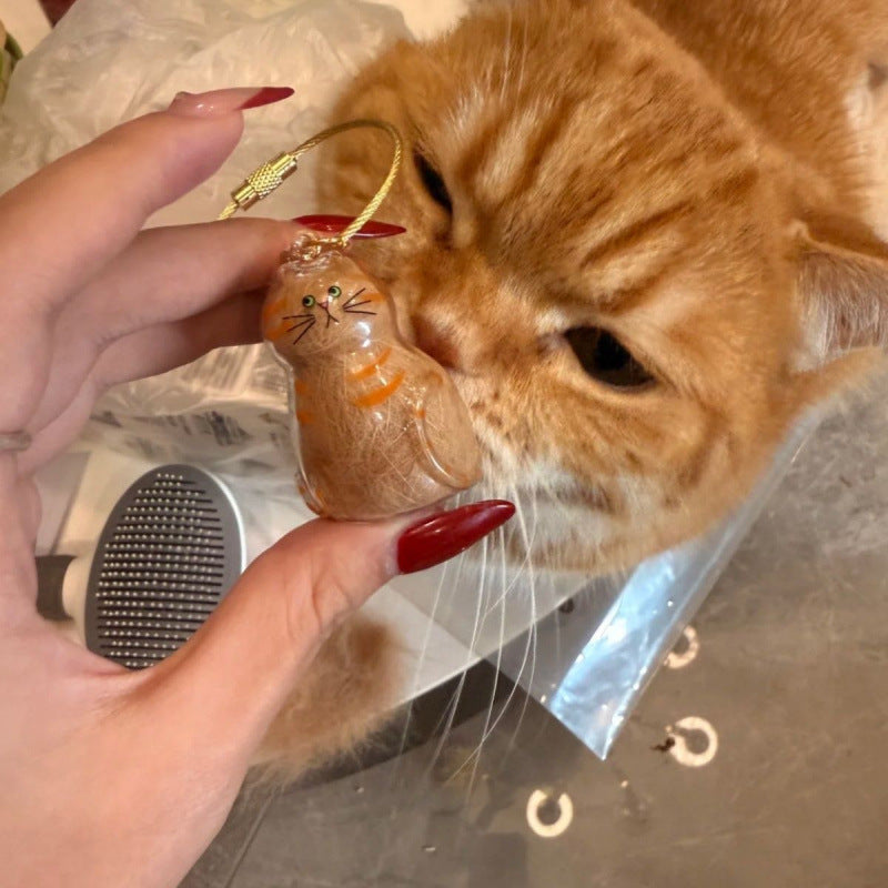 Transparent Cat Hair Storage Box Pendant Keychain Ornaments