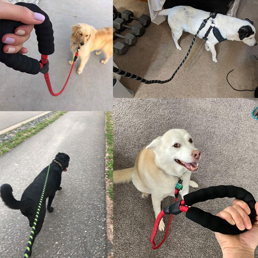 Small Medium Sized Pet Dog Luminous Leash Chain Puppies - 𝓢𝓱𝓸𝓹𝓵𝓮𝓬𝔂
