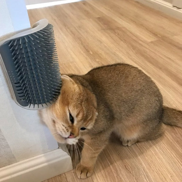 Cat Self-Grooming Brush Pet Wall Rubbing Device - 𝓢𝓱𝓸𝓹𝓵𝓮𝓬𝔂