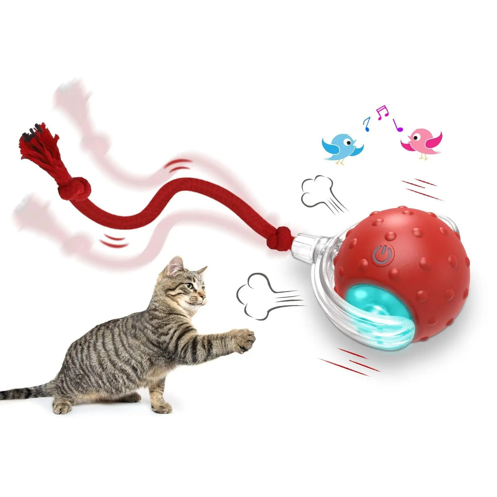 Interactive Cat Toy Ball Super Drive Cat Rolling Ball - 𝓢𝓱𝓸𝓹𝓵𝓮𝓬𝔂
