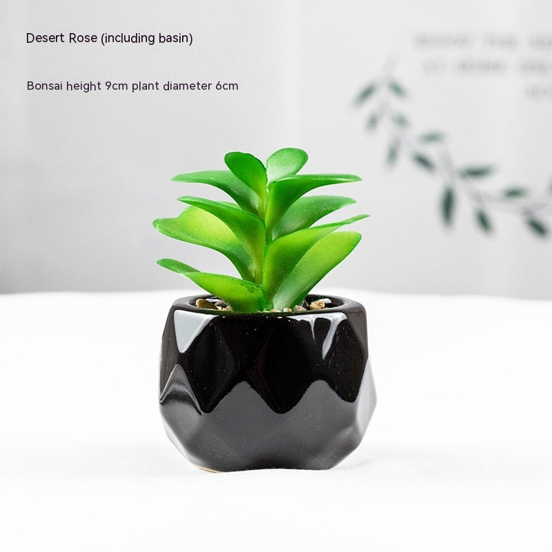 Artificial Green Plant Succulent Artificial Plant Home Furnishings - 𝓢𝓱𝓸𝓹𝓵𝓮𝓬𝔂