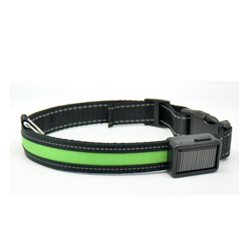 Fluorescent dog collar - 𝓢𝓱𝓸𝓹𝓵𝓮𝓬𝔂